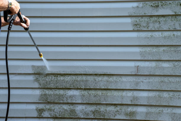 Best Scrap Metal Removal  in Severna Park, MD
