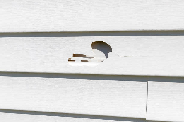 Best Property Management Cleanouts  in Severna Park, MD