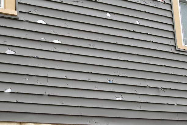 Best Shed Removal  in Severna Park, MD