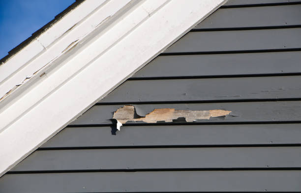 Best Construction Debris Removal  in Severna Park, MD